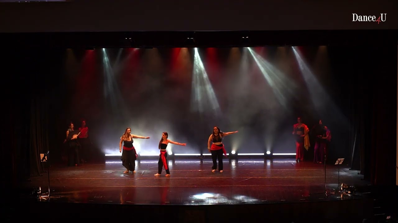 Dance4U  IX Espetáculo de Verão