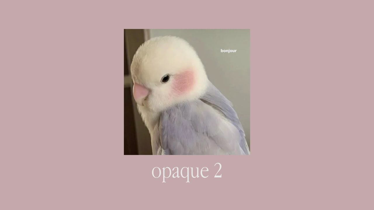 opaque 2 (playlist)