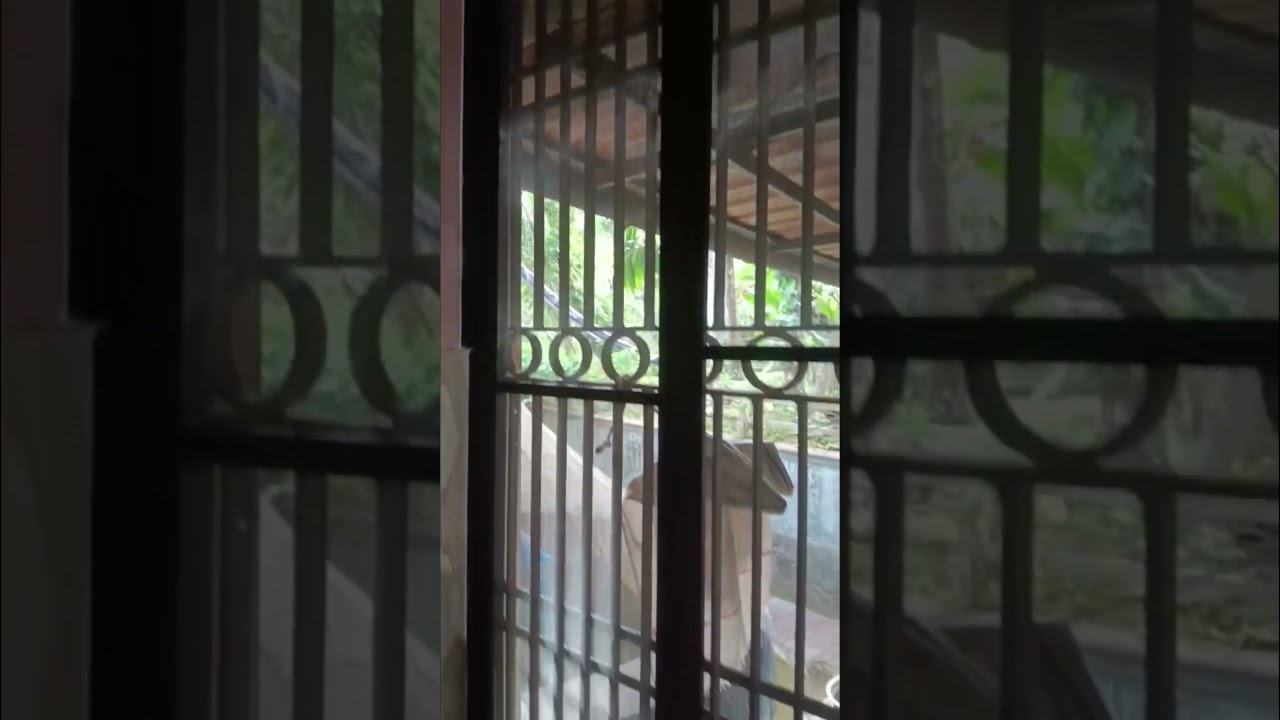Mosquito Net Installation🦟🚫- Grills 