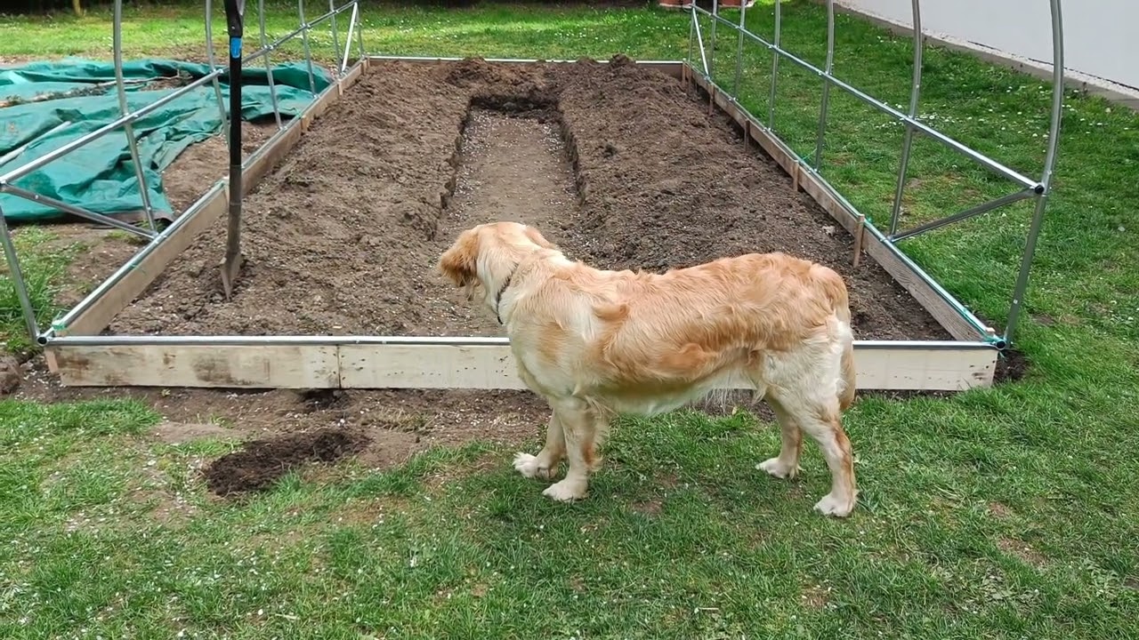 TUNEL FOLIOWY OGRODOWY SZKLARNIA FOLIA PREMIUM-  GO GARDEN