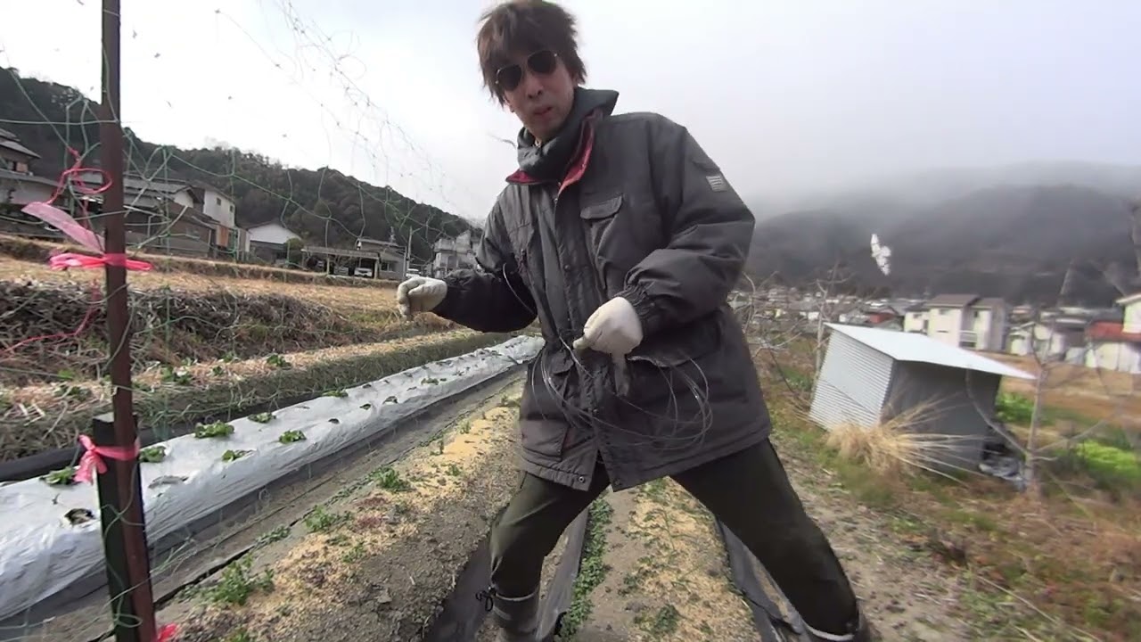 #37 スナップえんどうにネットを張ろう！