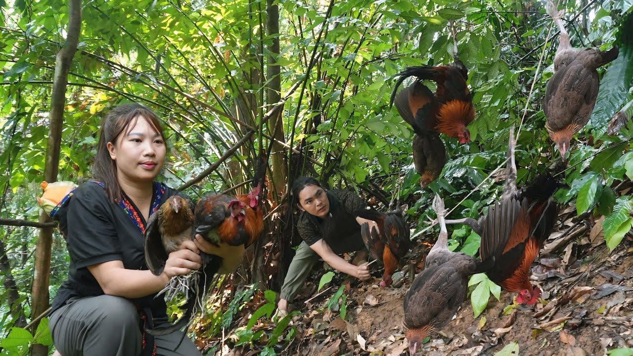 Venturing deep into the forest, setting traps to catch wild chickens, gathering bamboo shoots
