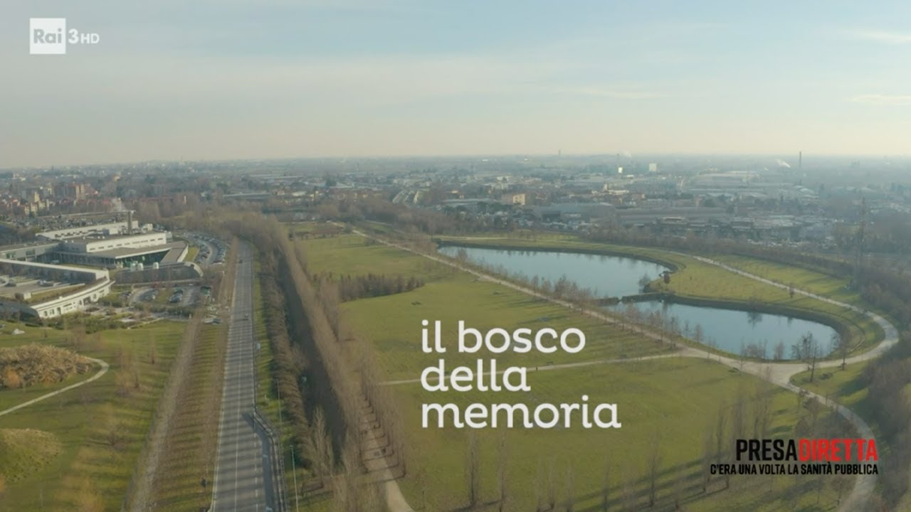 Il bosco della memoria a Bergamo - PresaDiretta 01/02/2021