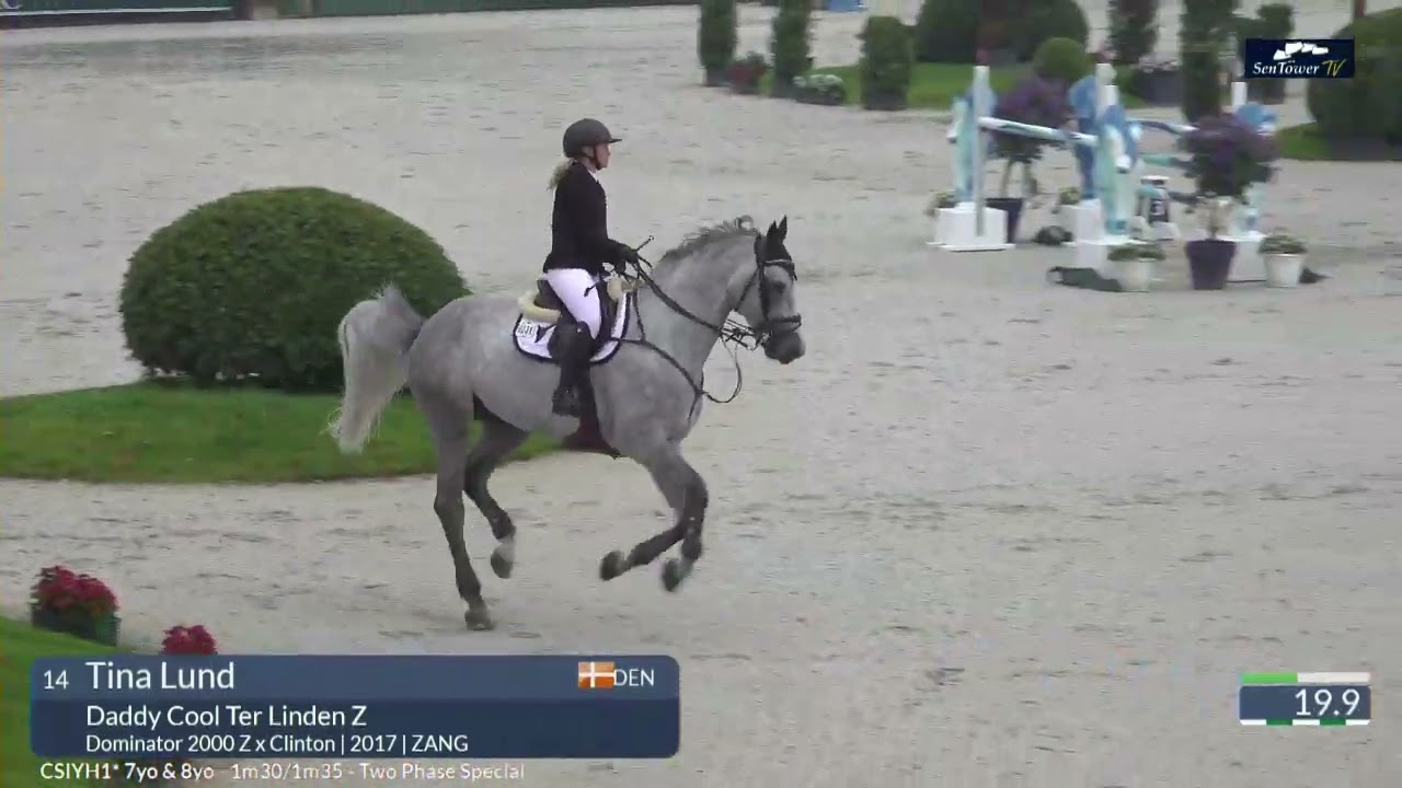 Daddy Cool Ter Linden Z - CSI3* 7yo Sentower Park