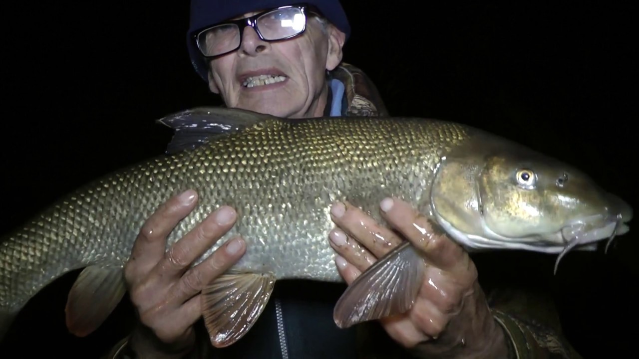 309 Bonfire Day Barbel 2018