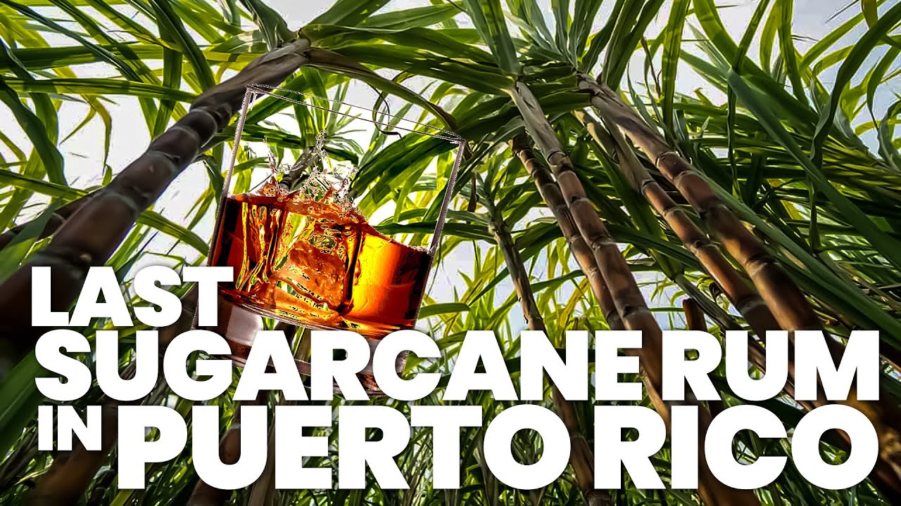 The Only 100% Puerto Rican Rum