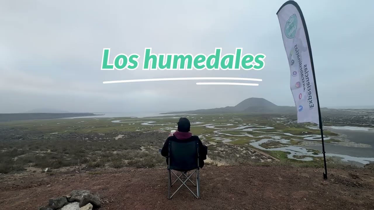 Los Humedales / Baja California
