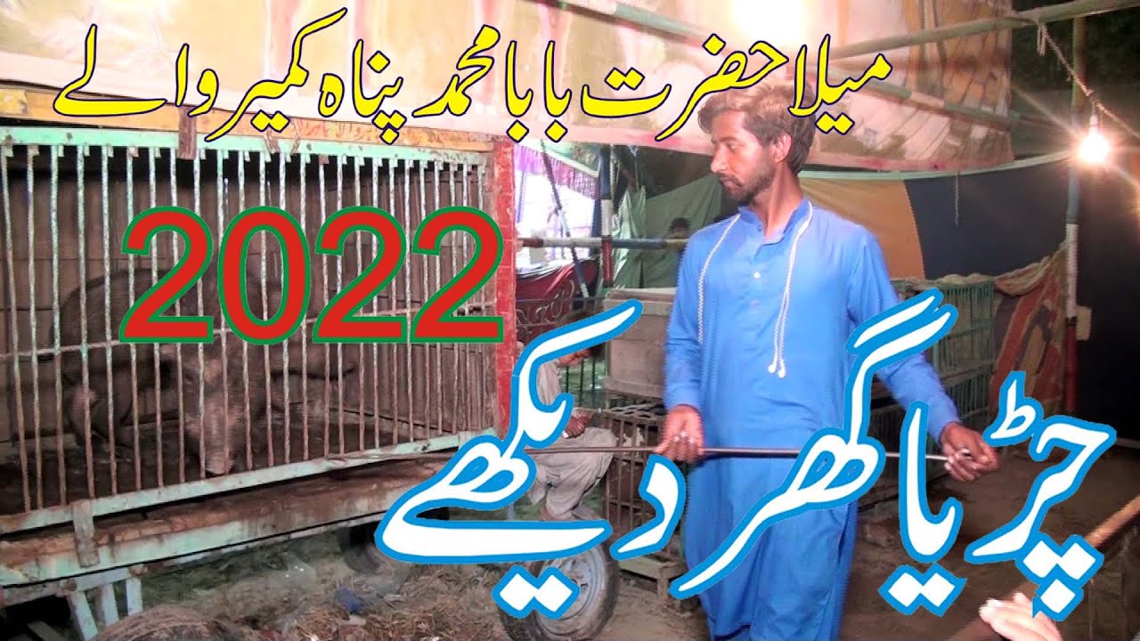 chidiya ghar mela baba muhmmad pana 2022