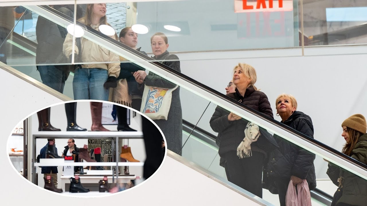 Black Friday shoppers on the hunt for holiday bargains