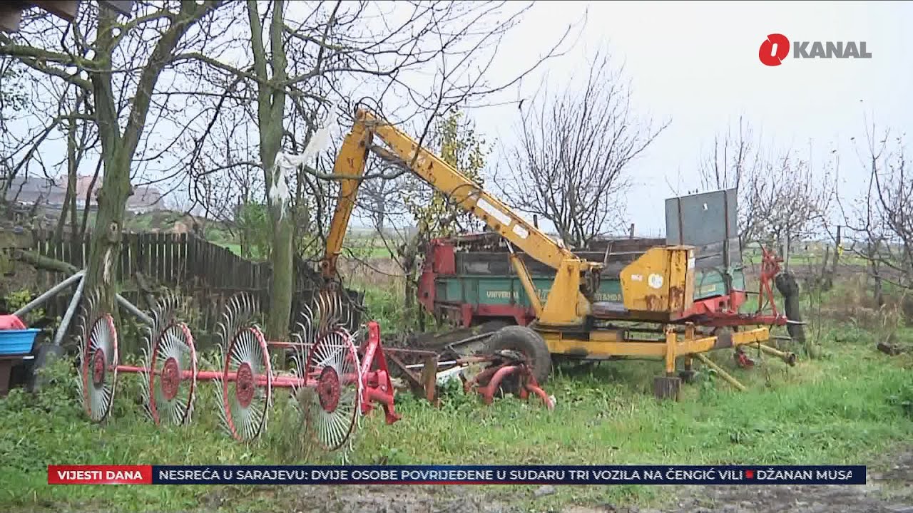 Semberija: Najveća žitnica u BiH odustaje od proizvodnje, gasi se i uzgoj krava