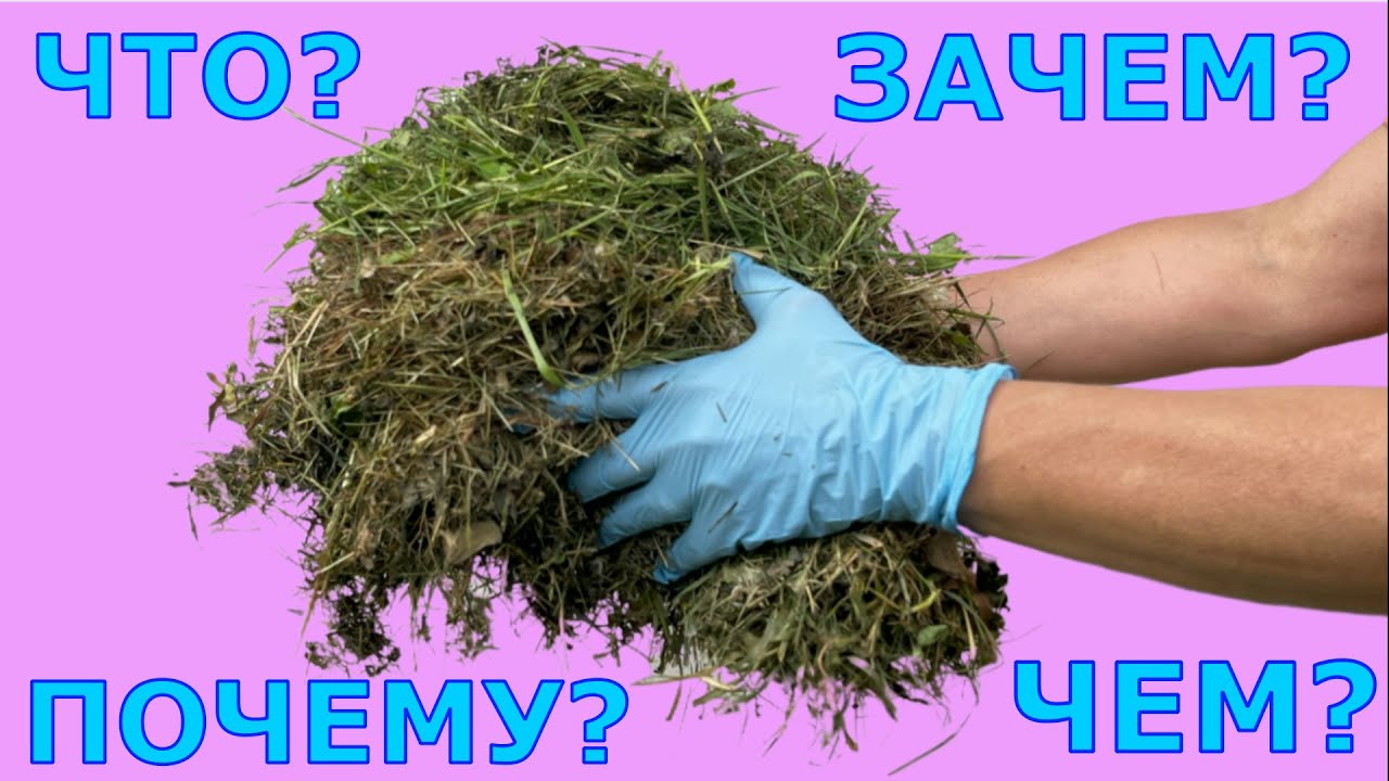 Мульча. АЗБУКА МУЛЬЧИРОВАНИЯ