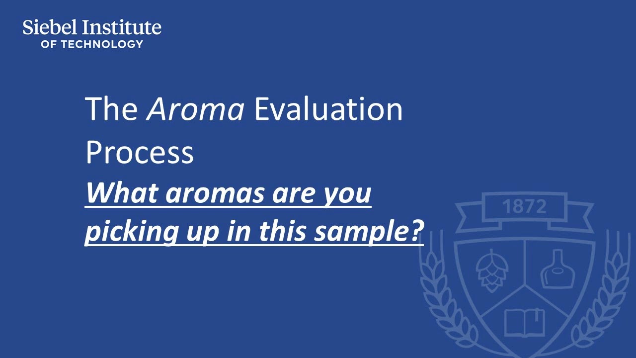 Basic tasting practice in beer sensory training