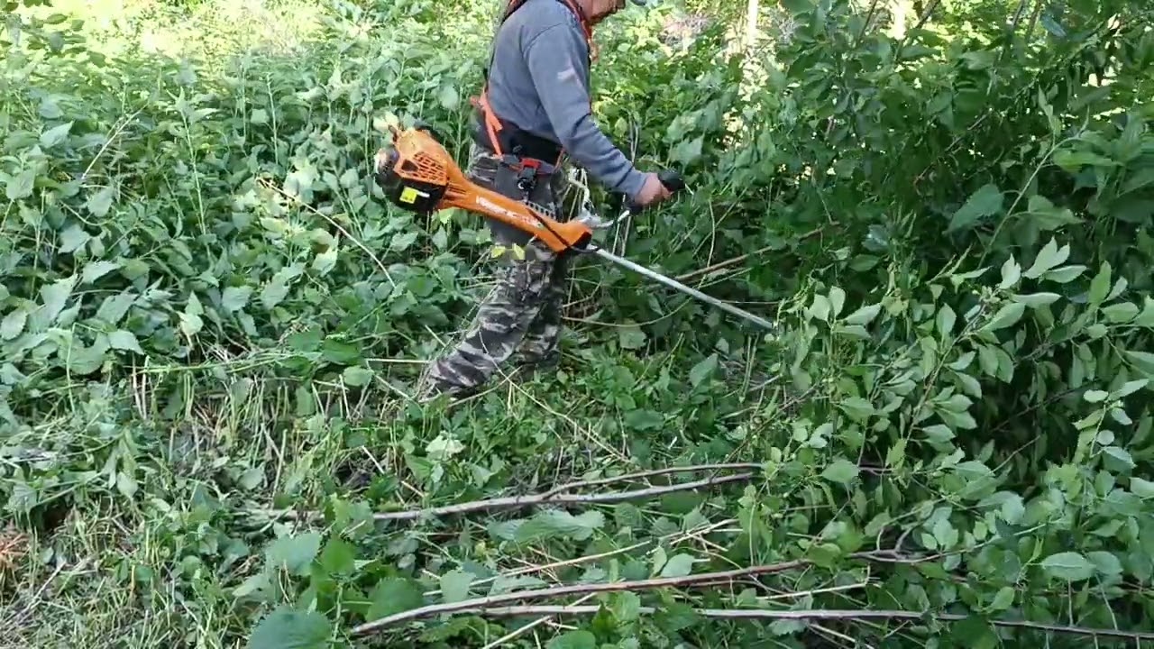 VILLAGER BC 2700 XCE, KÖRFŰRÉSZ TÁRCSÁVAL BOKOR VÁGÁS!
