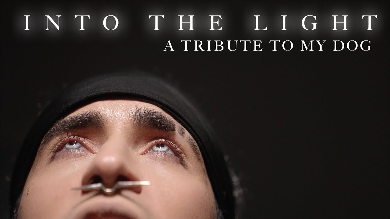 Into the Light - IN THIS MOMENT Cover by Corvyx | A Tribute to my dog Gizmo