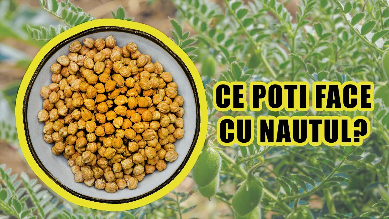 NAUT - beneficii & 25 de idei de retete de post/vegane cu naut