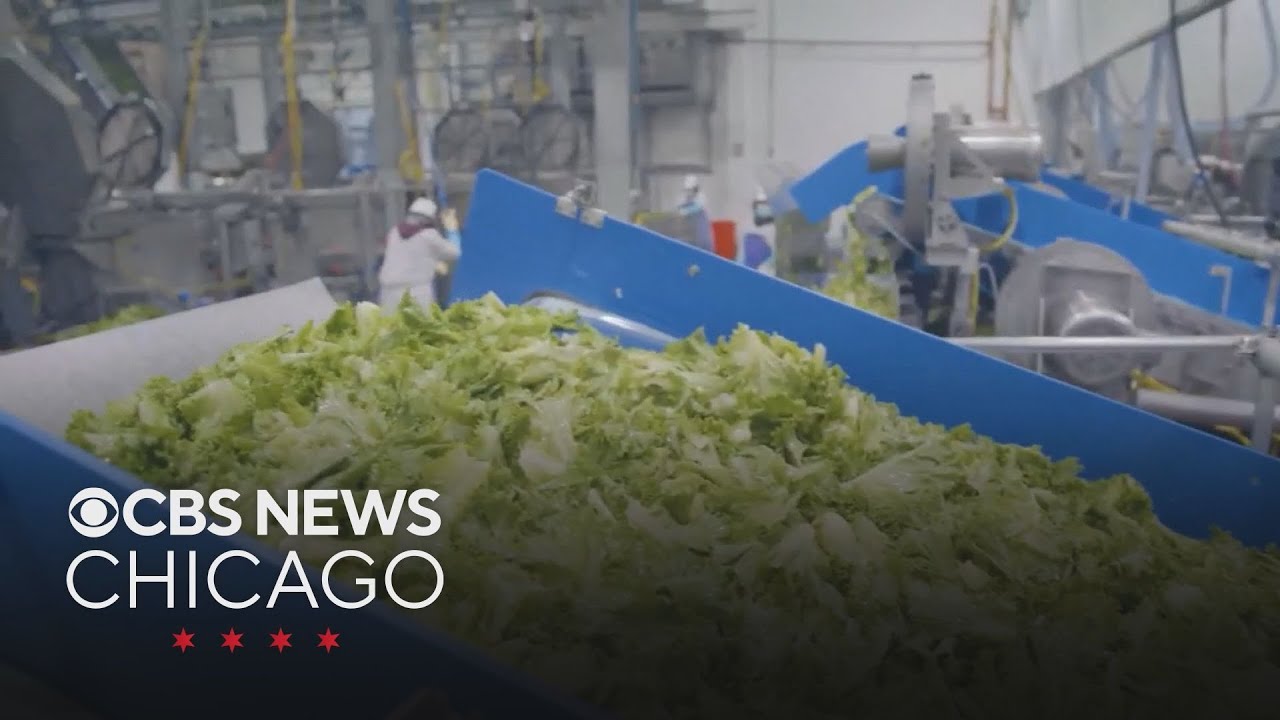 Mystery behind Cyclospora outbreak isn't solved after all