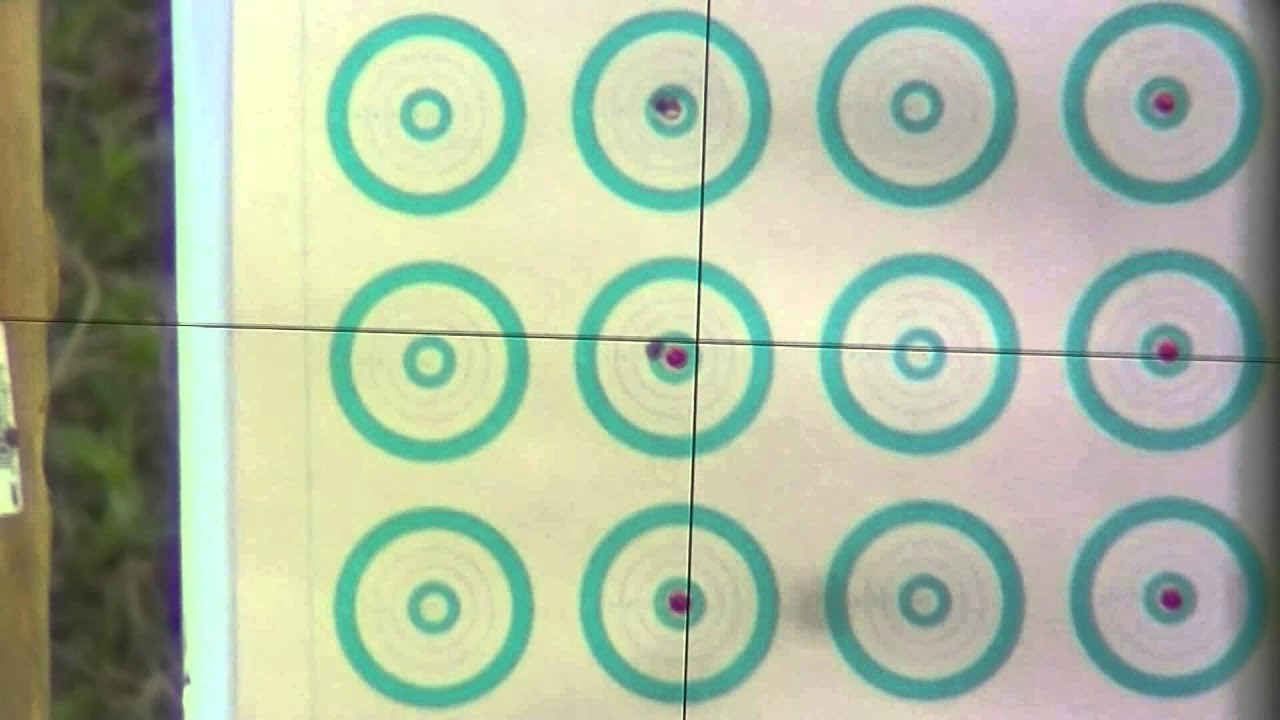 Shooting Sequins at 50 yards with 22 long rifle
