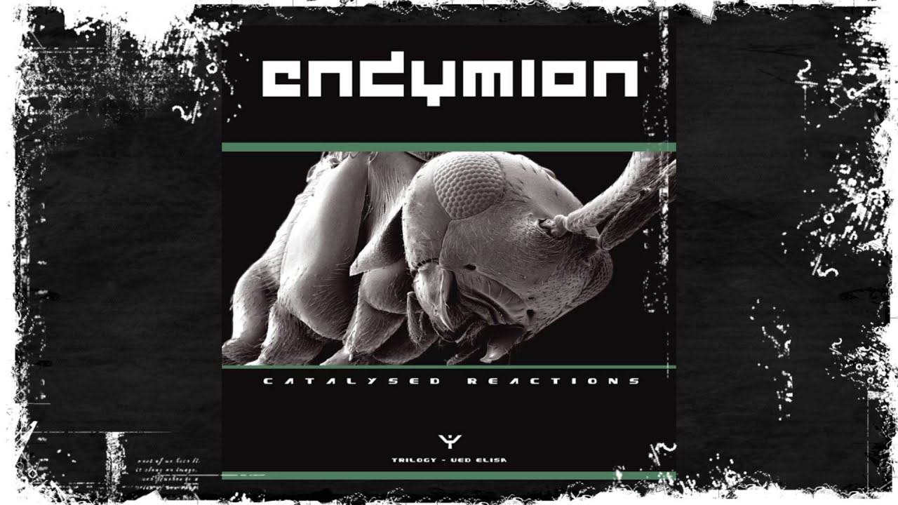 Endymion - Payback