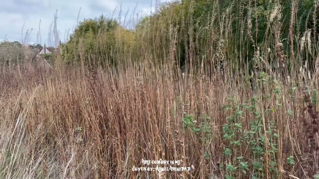 THE COWBOY IN ME ( cover by: ARNEL TRINIDAD )