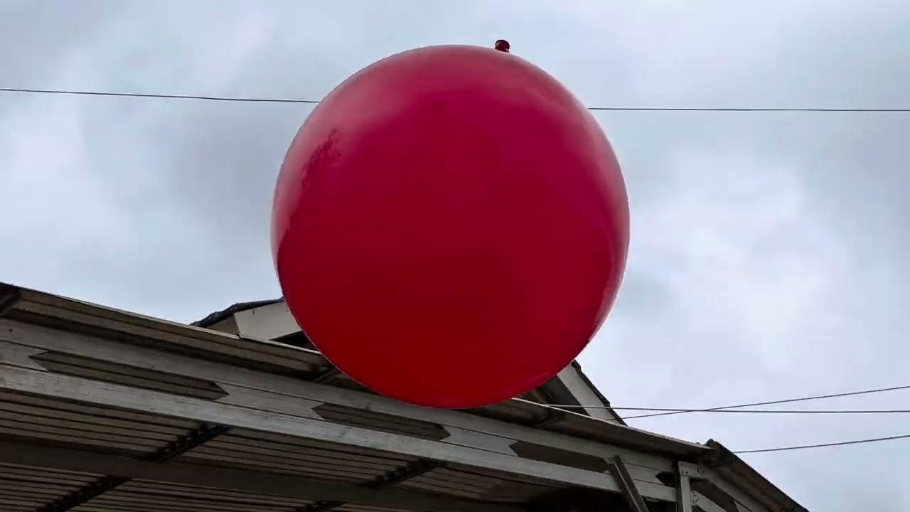 Red Balloon Experiment 🔥 Comparison  12”, 18”, 24”, 36” | Which One Can Withstand the Most Pressure?