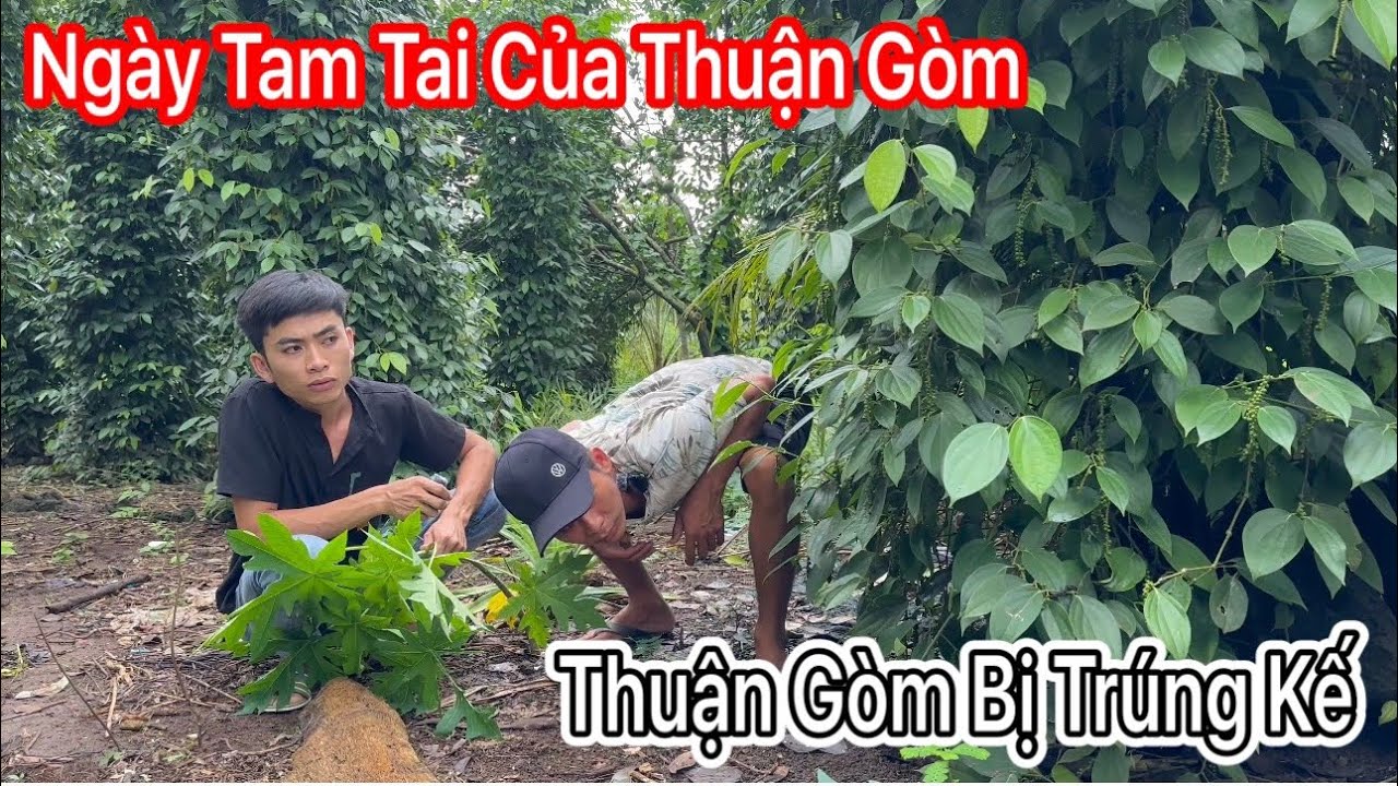 Cuối cùng ngày này cũng đã tới với Thuận Gòm  Toang thật rồi Thuận Gòm ơi