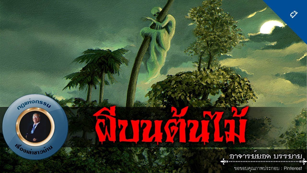 อาจารย์ยอด : ผีบนต้นไม้ [ผี] new