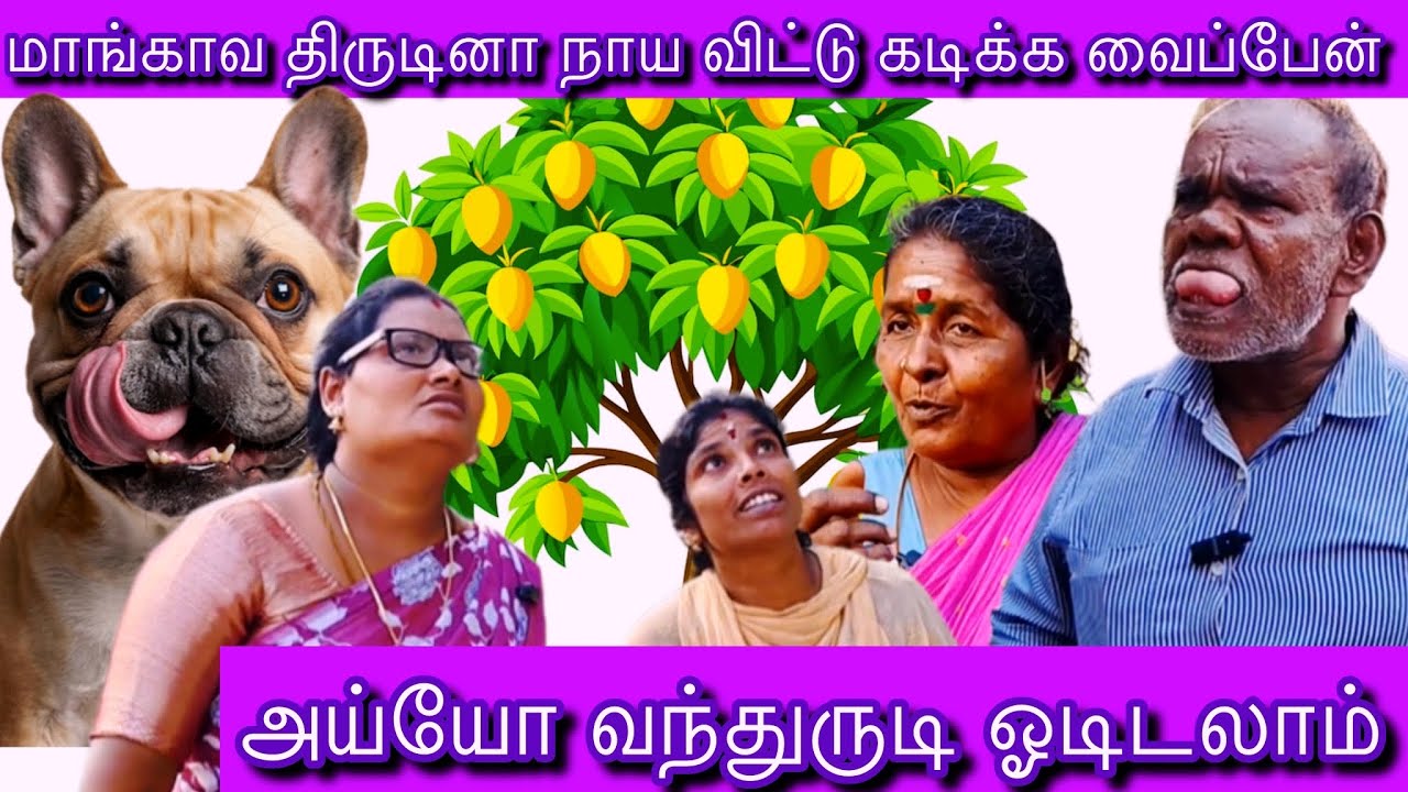 மாங்காவ திருட வந்த இடத்துல  இப்படியா நடக்கணும் #comedy #funny #idea123 #panamatta #tamil 
