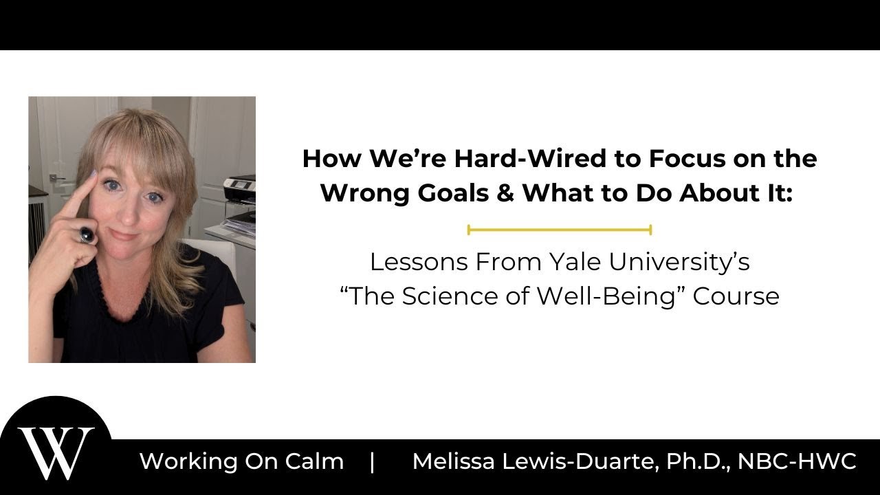 We’re Hard-Wired to Focus on the Wrong Goals & What to Do About It: From The Science of Well-Being