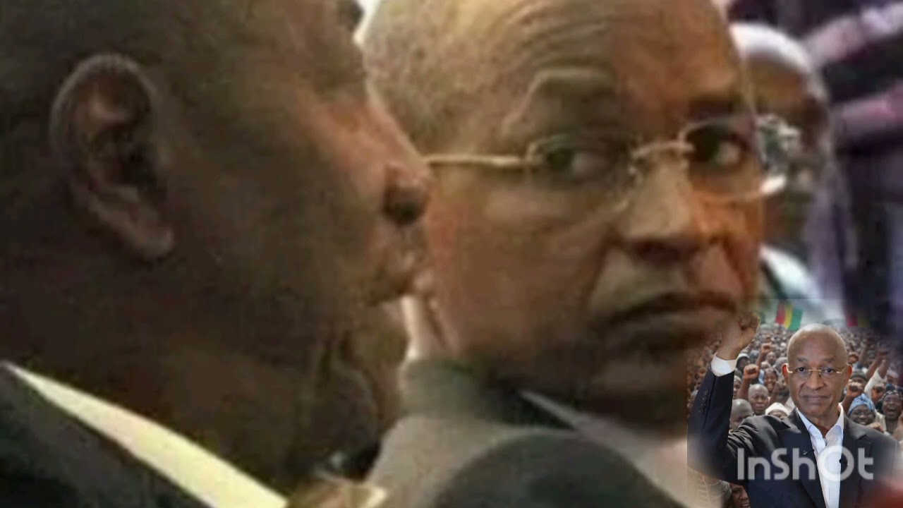 CELLOU DALEIN DIALLO 🤣😭 ALPHA CONDÉ NO YORMY