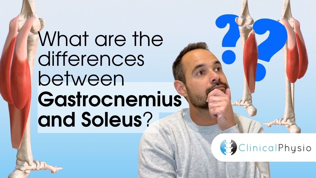 What are the Differences between Gastrocnemius & Soleus? | Expert Physio Guide