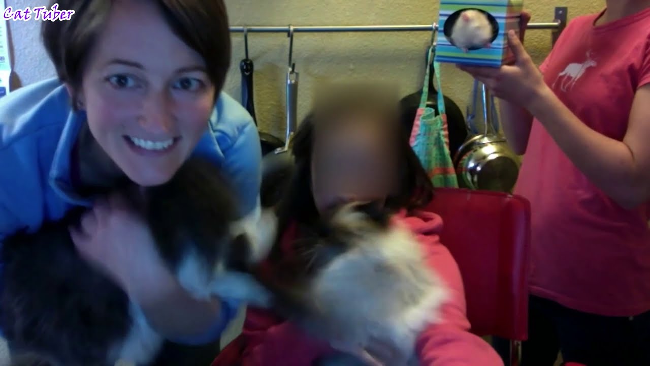 Best Stupid Fails of June 2020