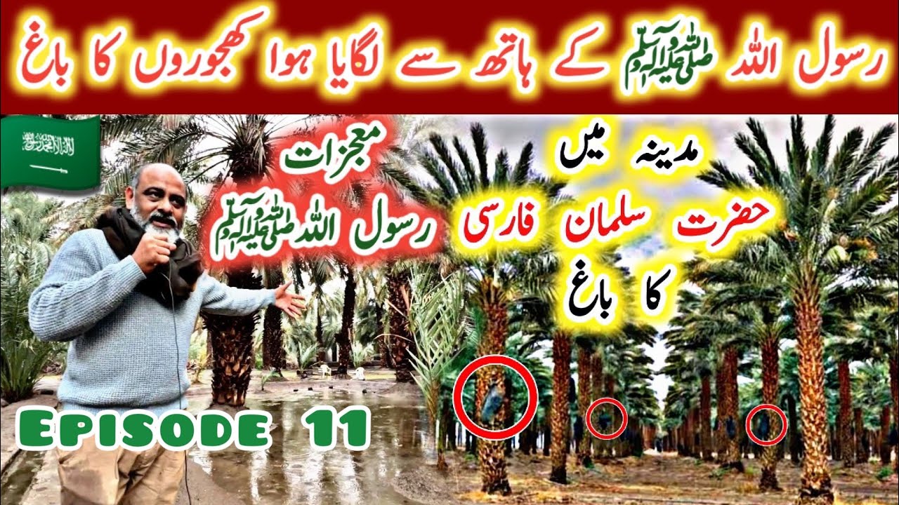 رسولٌ اللہ نے یہ باغ اپنے مبارک ہاتھوں سے لگایا garden of salman farsi f/ رسولٌ اللہ کے .معجزات