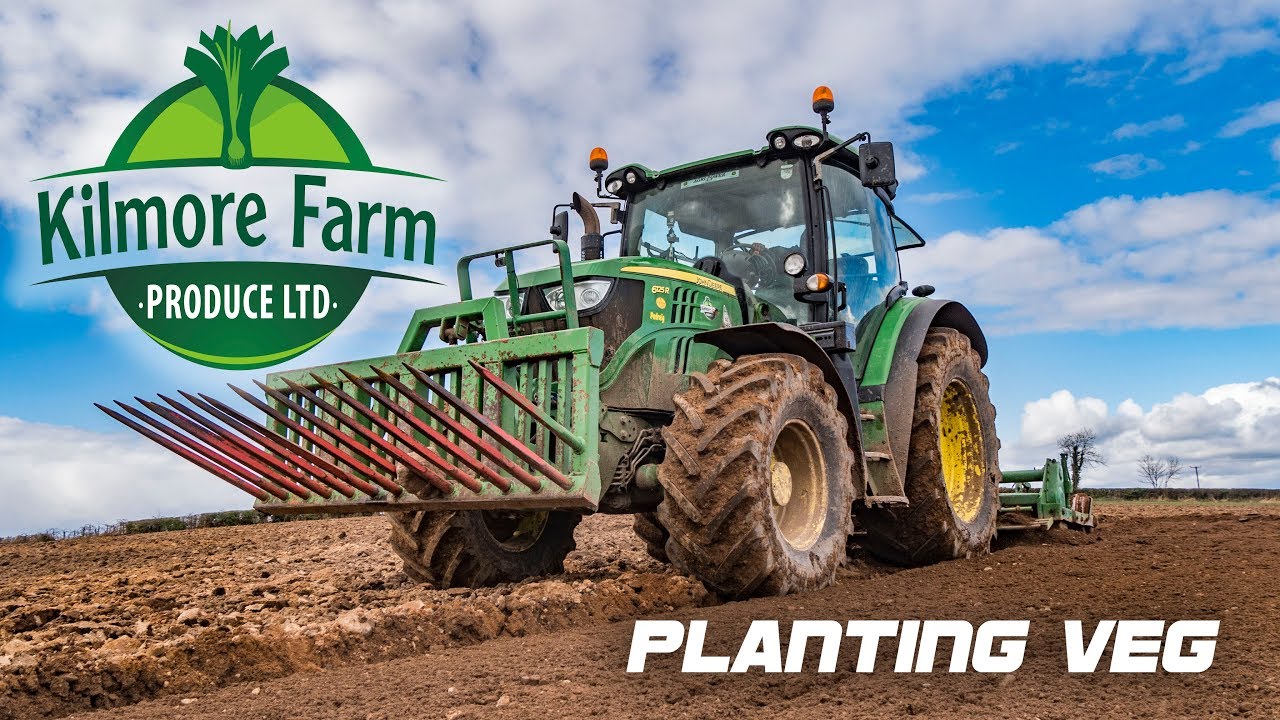 Kilmore Farm Produce - Planting veg - Sowing Scallions, Planting Leeks