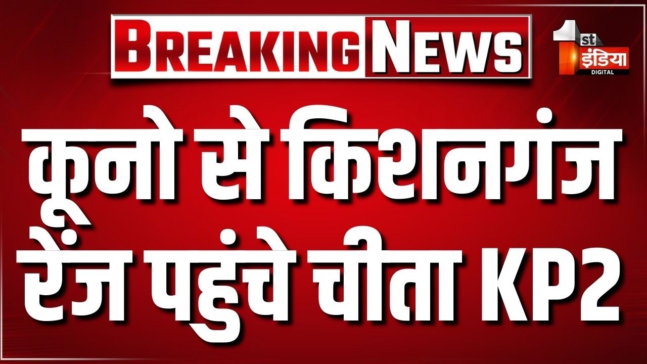 Kuno से Kishanganj रेंज पहुंचे चीता KP2, जामली जंगल में डाला डेरा | Rajasthan Forest Department