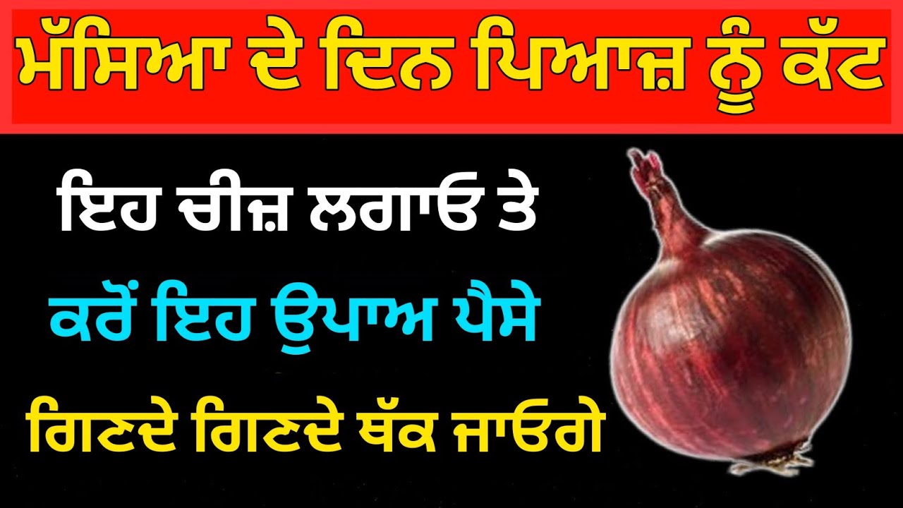 ਮੱਸਿਆ ਦੇ ਦਿਨ ਪਿਆਜ਼ ਨੂੰ ਕੱਟ ਇਹ ਚੀਜ਼ ਲਗਾਓ ਤੇ ਕਰੋਂ ਇਹ ਉਪਾਅ ਪੈਸੇ ਗਿਣਦੇ ਗਿਣਦੇ ਥੱਕ ਜਾਓਗੇ ਅੱਜ ਹੀ ਕਰੋਂ ਉਪਾਅ