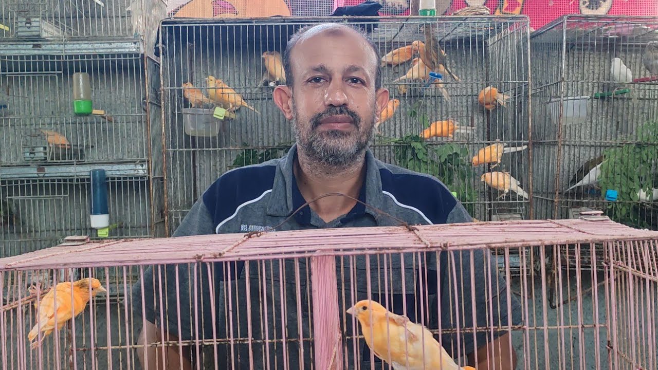 كنارك شغال والبيض فارغ وغير مخصب وحابب تعرف الأسباب ،شاهد للنهاية