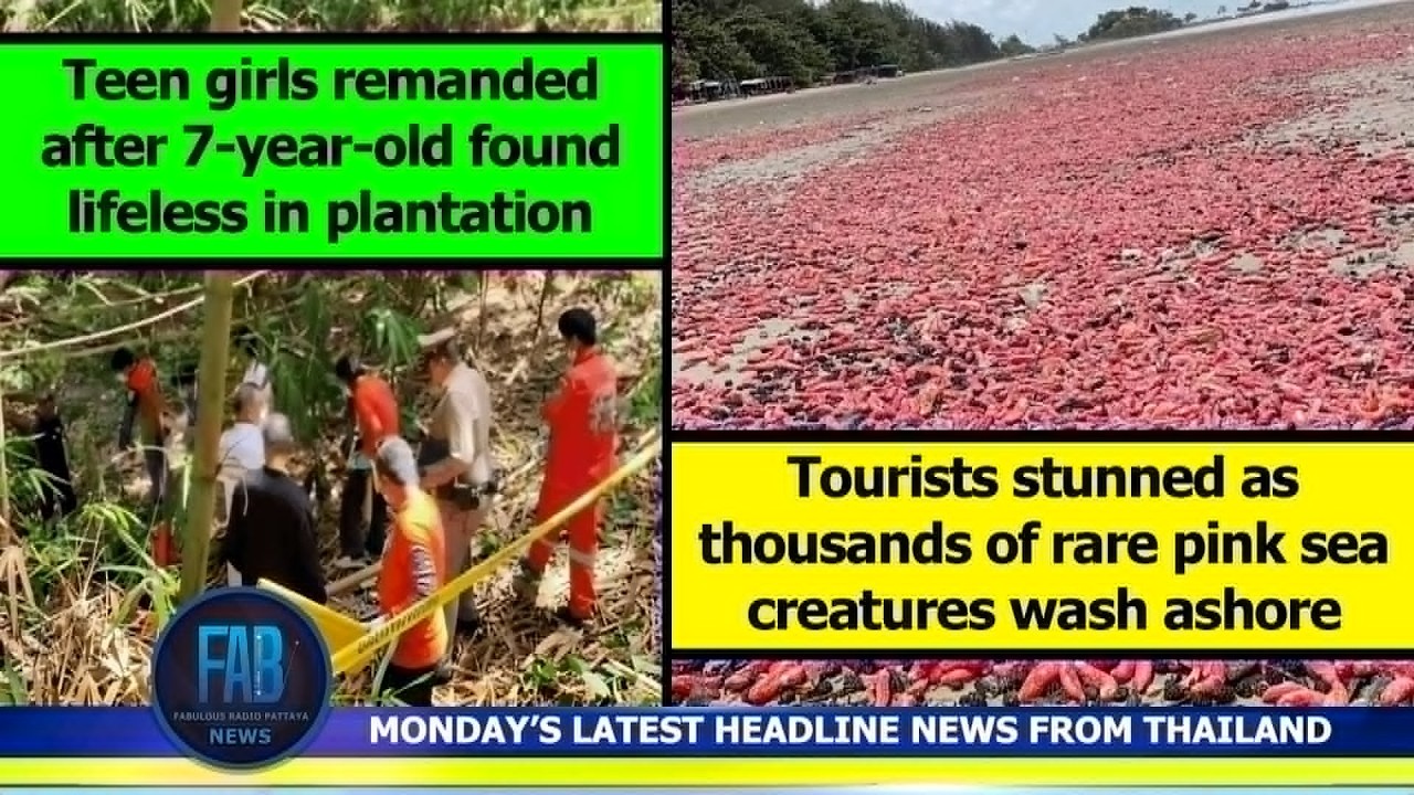 VERY LATEST NEWS FROM THAILAND in English (8 June 2026) from Fabulous Radio Pattaya