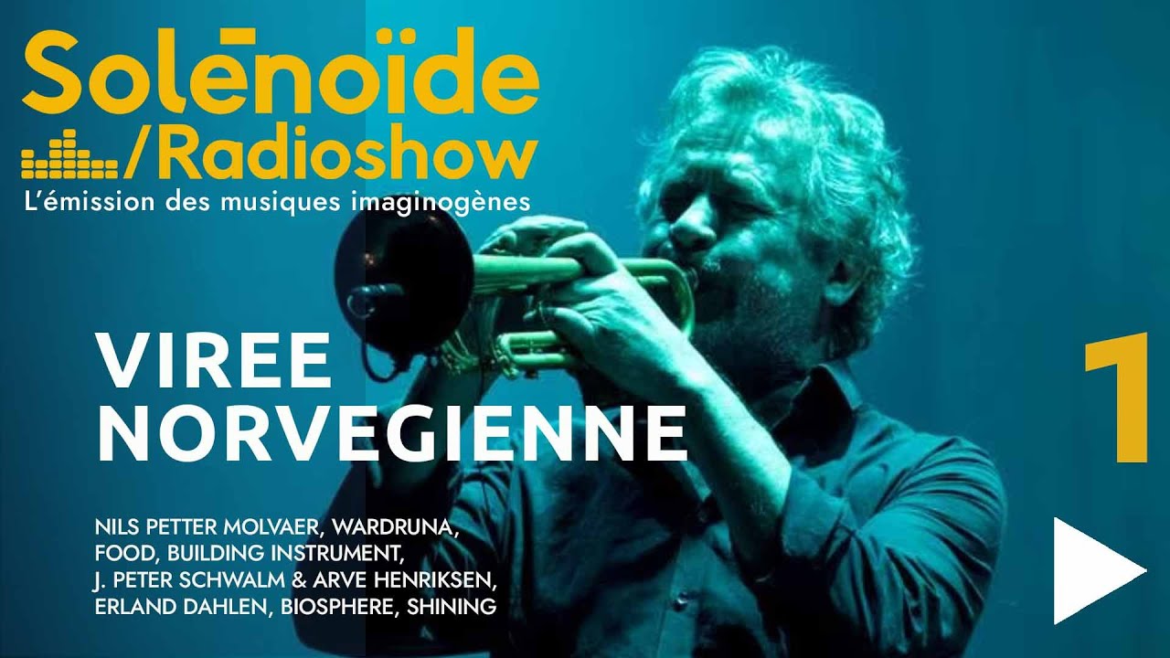 Solénoïde  -  Virée Norvégienne 01 : Nils Petter Molvaer, Food, Wardruna, Biosphere, Shining....