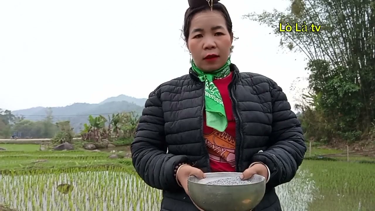 Lò Lả đi xém ruộng bậc thang phong cảnh vùng Cao tuyệt vời quá 