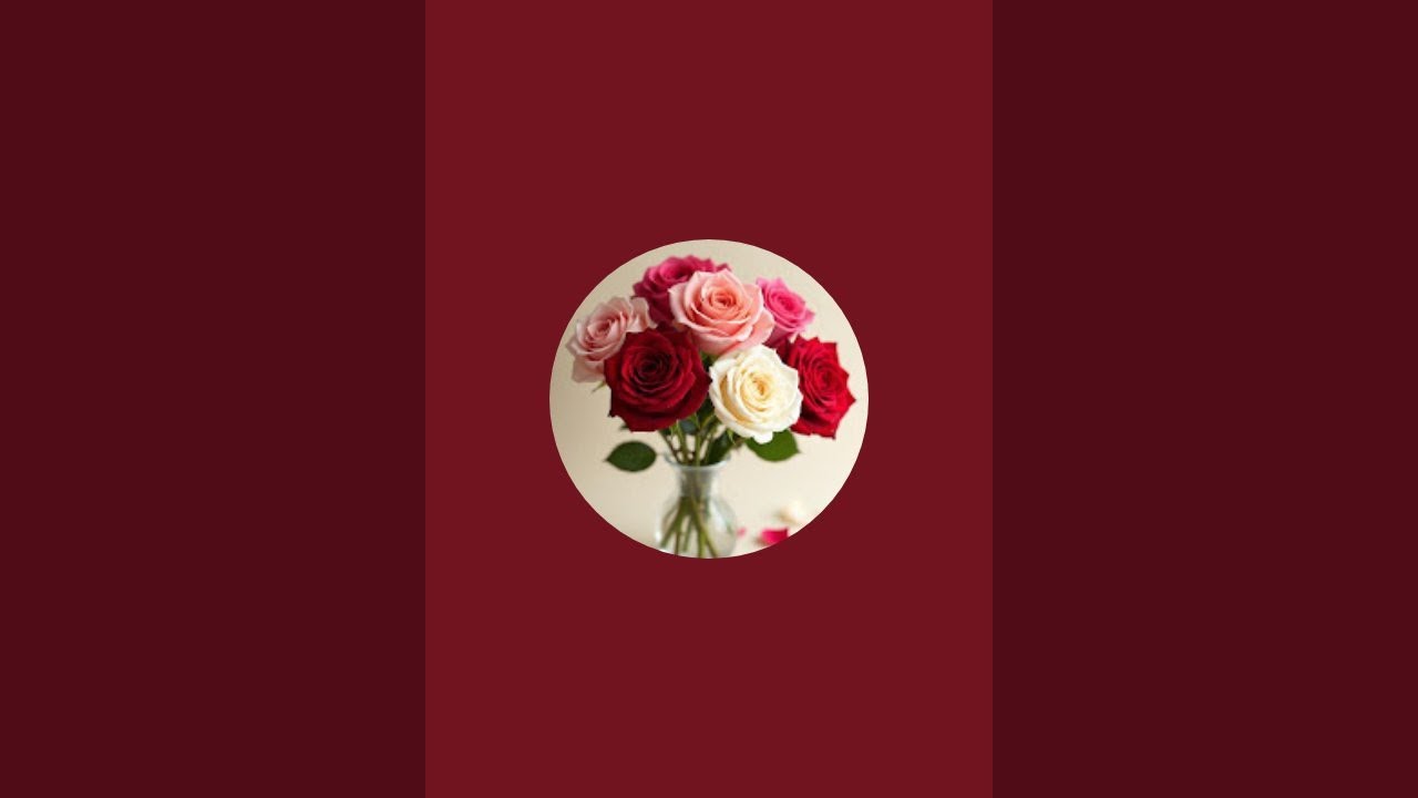 @Tilawat e Quran92 is live!