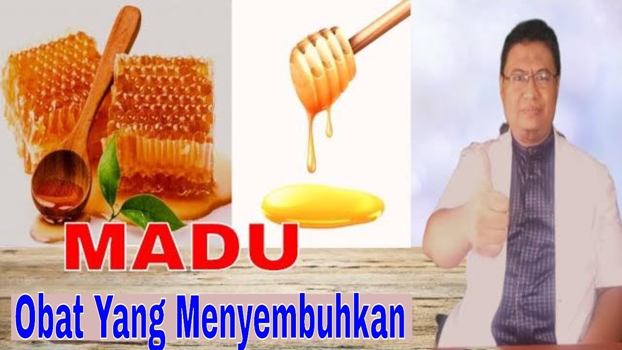 11 Manfaat madu murni bagi kesehatan tubuh kita