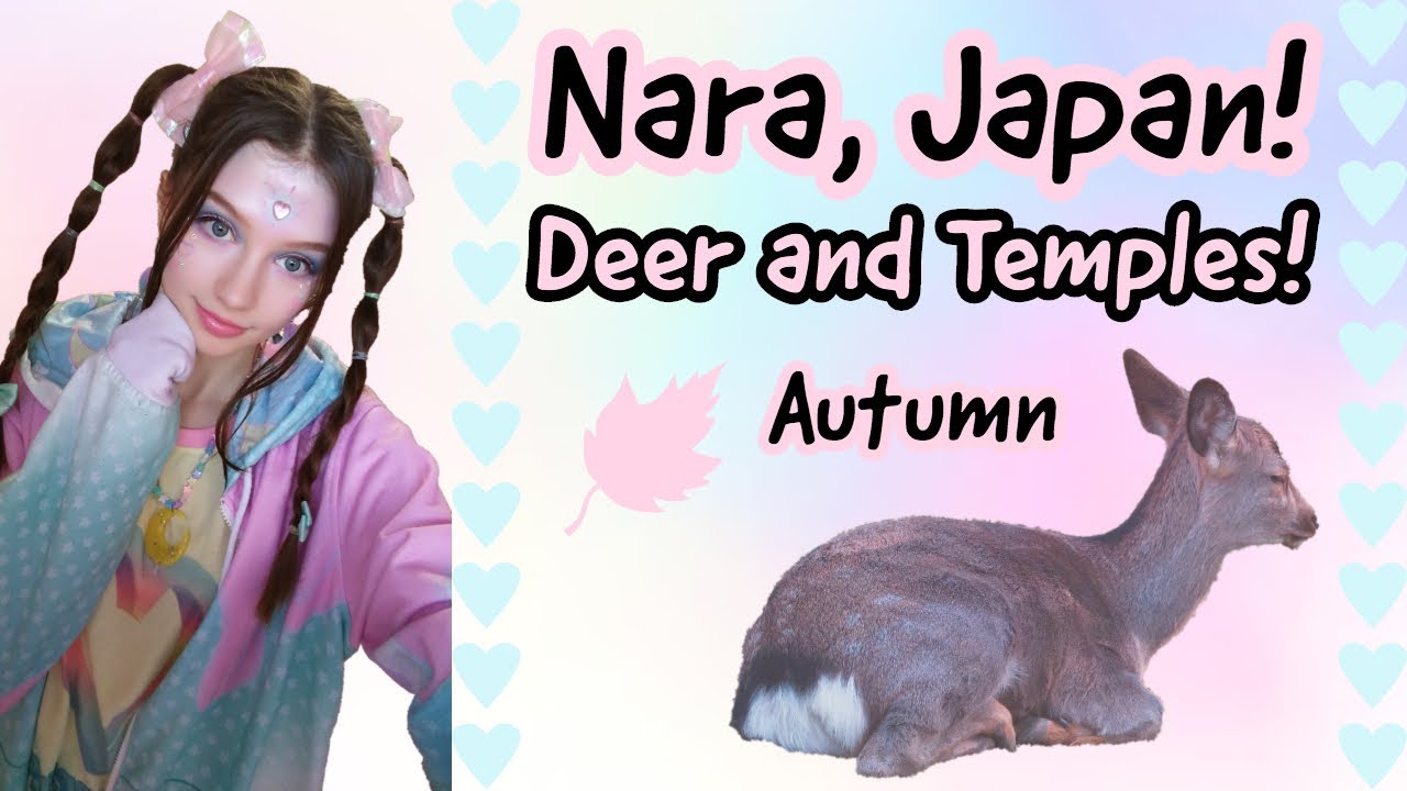 I PET DEER! ♡ A Day in Nara, Japan! ♡