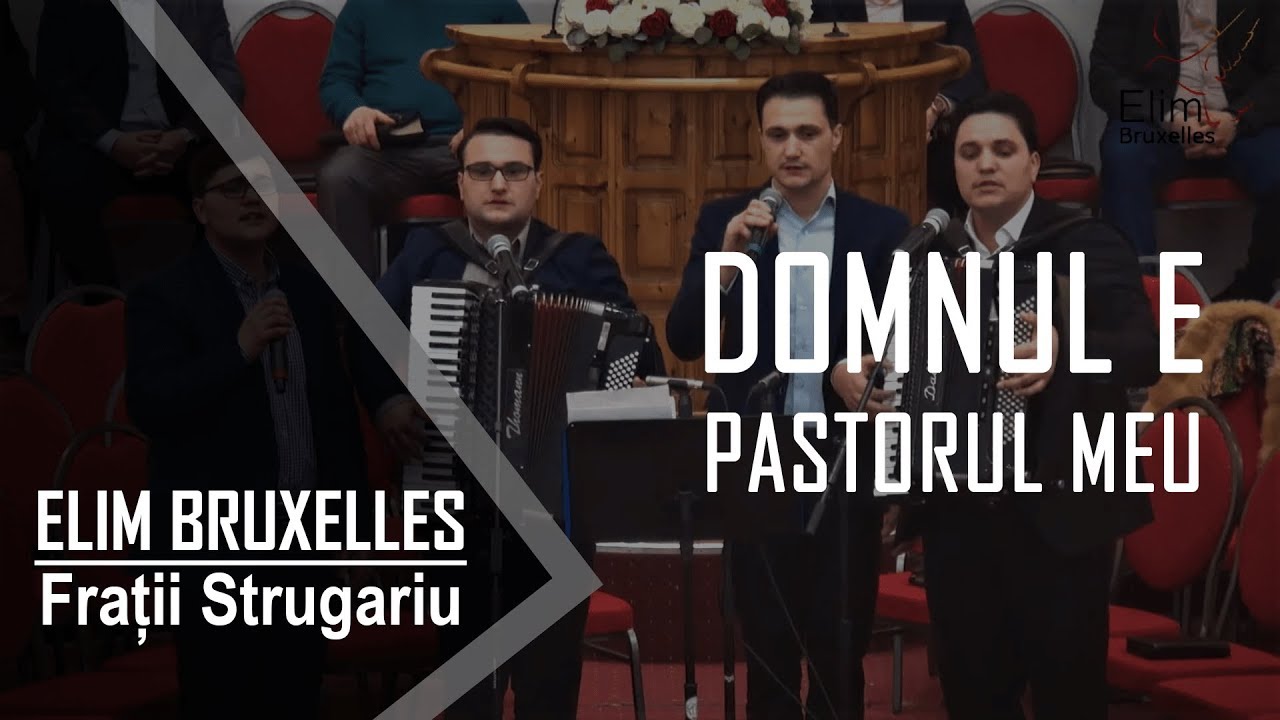Fratii Strugariu - Domnul E pastorul meu