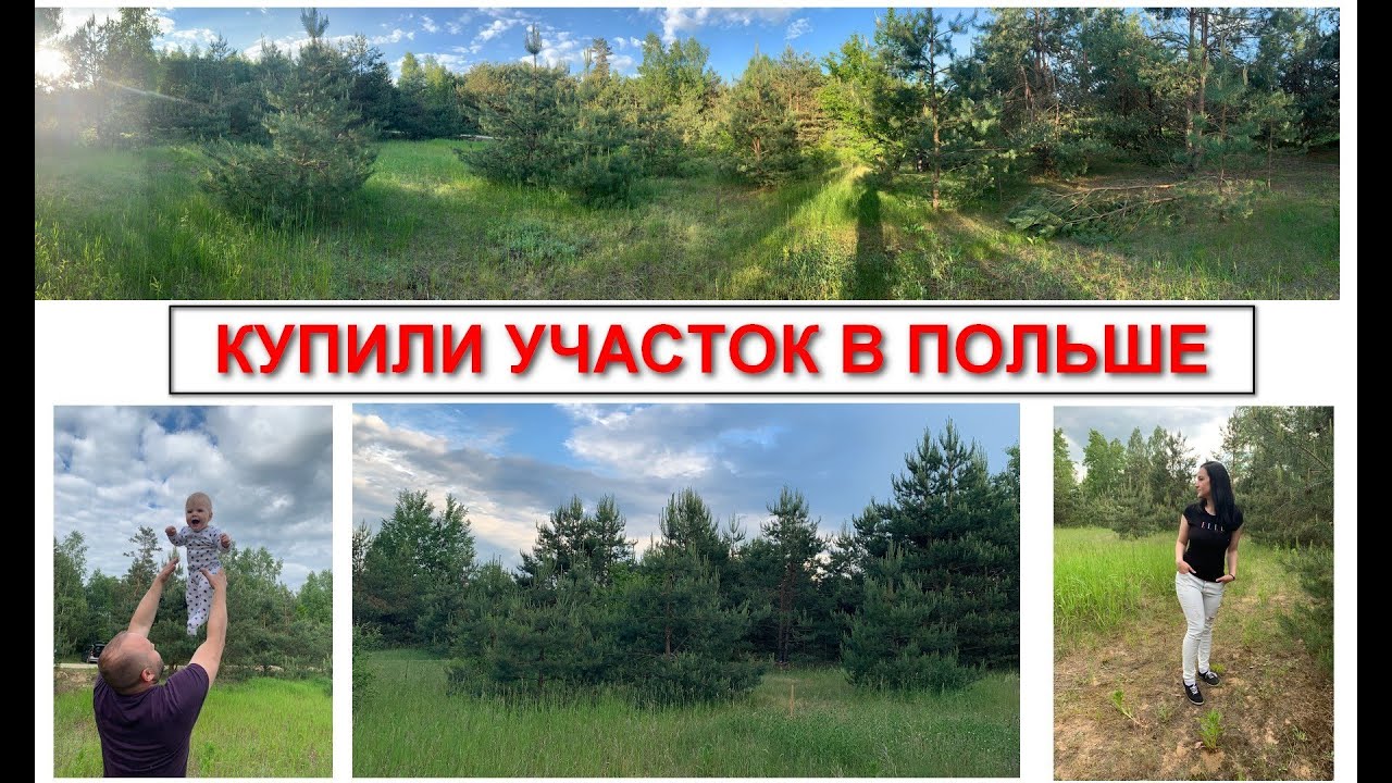 ПОКУПКА УЧАСТКА В ПОЛЬШЕ | РАЗМЕТКА УЧАСТКА |