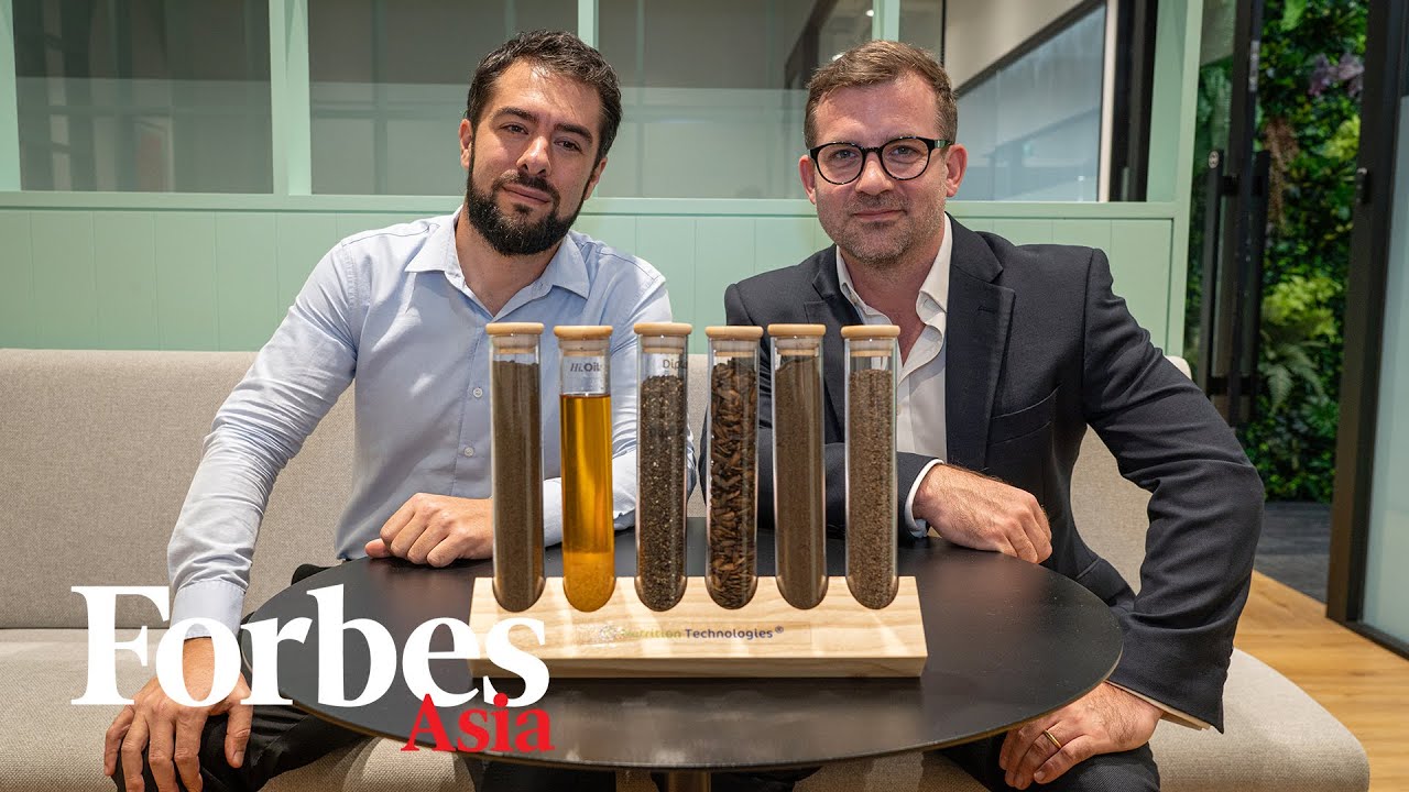 Buzzy Business: How A Singaporean Startup Is Turning Flies Into Farm Food