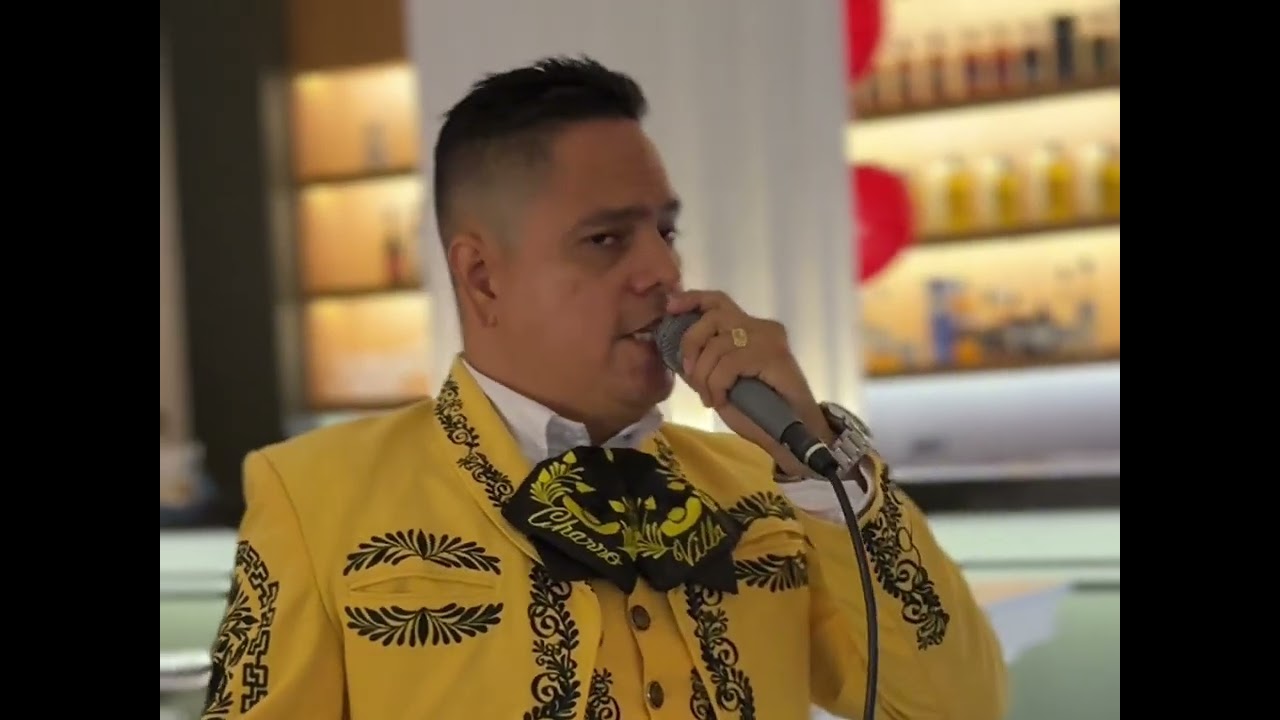 Mujeres divinas | Mariachi Trompeta de Oro 