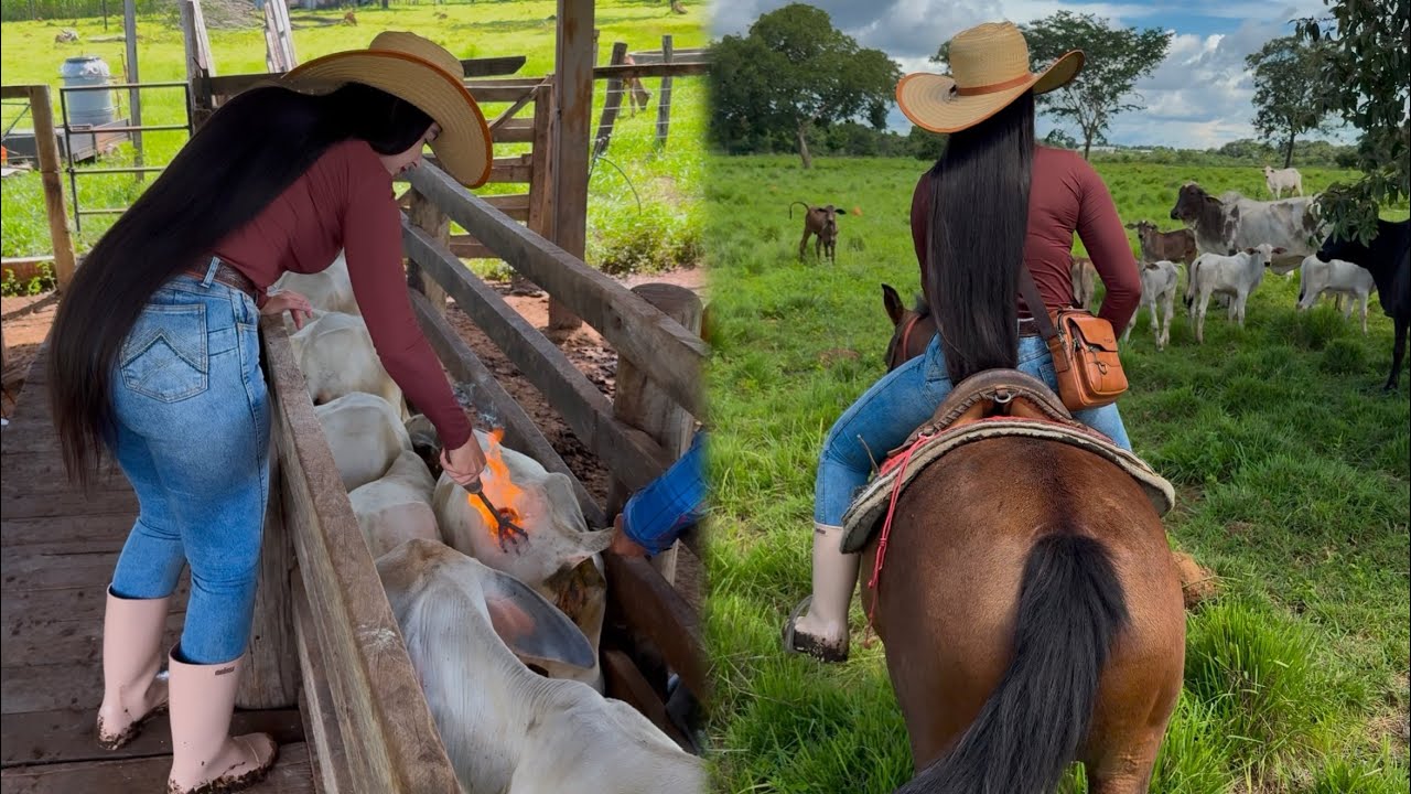 Na lida da roça 🤠