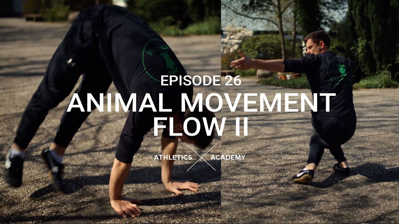 Lerne einen neuen ANIMAL MOVEMENT FLOW - Dragon Squat, Ape und Rotation to L-Sit