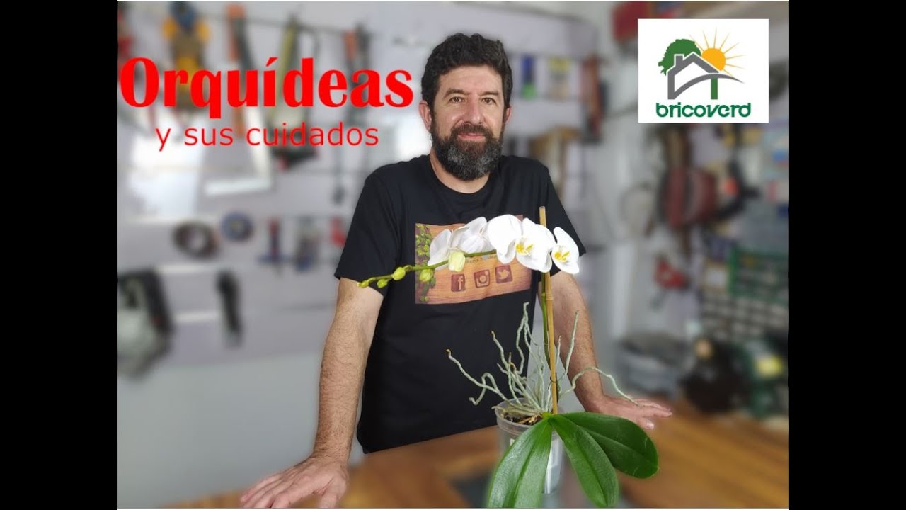 ORQU&Iacute;DEAS, DESCUBRE SUS SECRETOS!!!
