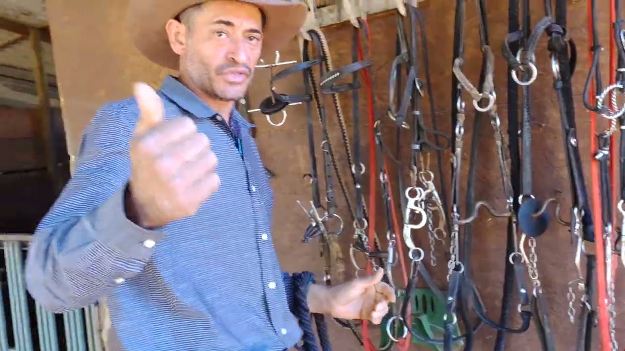 TIPOS DE EMBOCADURA QUE UTILIZO NA DOMA RACIONAL DA TROPA QUE CUIDO.